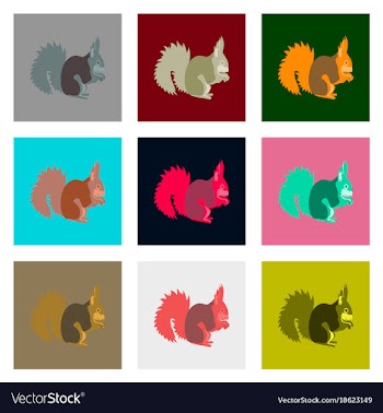 Set of in flat style squirrel vector image