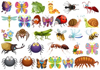 Set of insect character Free Vector