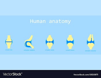 Set of knee joint health care icon flat vector image