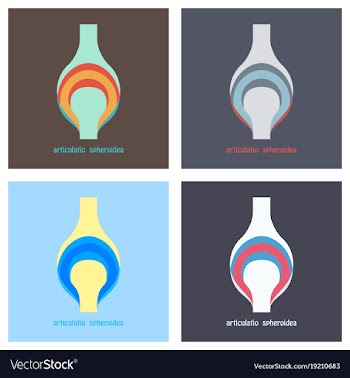 Set of knee joint health care icon flat vector image
