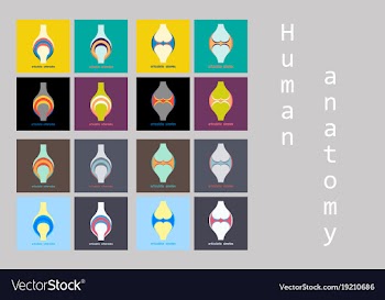 Set of knee joint health care icon flat vector image