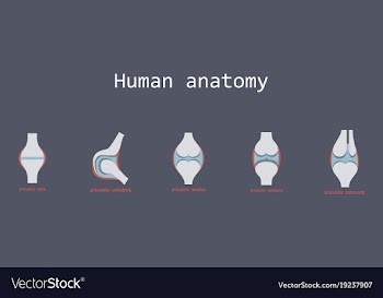 Set of knee joint health care icon flat vector image