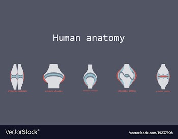 Set of knee joint health care icon flat vector image