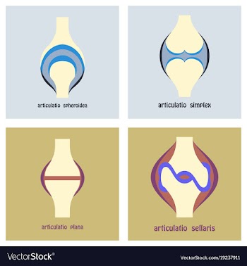 Set of knee joint health care icon flat vector image