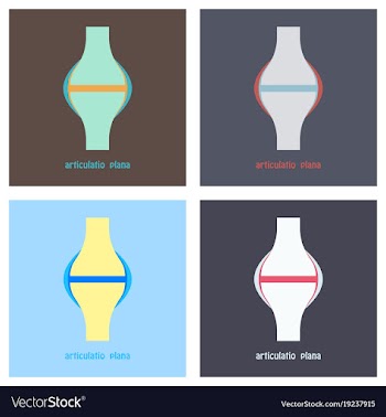Set of knee joint health care icon flat vector image