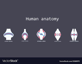 Set of knee joint health care icon flat vector image