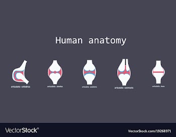Set of knee joint health care icon flat vector image