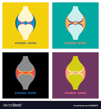 Set of knee joint health care icon flat vector image