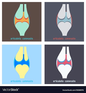 Set of knee joint health care icon flat vector image
