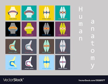 Set of knee joint health care icon flat vector image