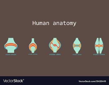 Set of knee joint health care icon flat vector image