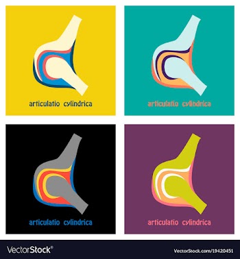 Set of knee joint health care icon flat vector image