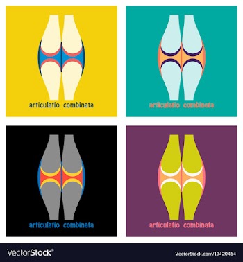 Set of knee joint health care icon flat vector image