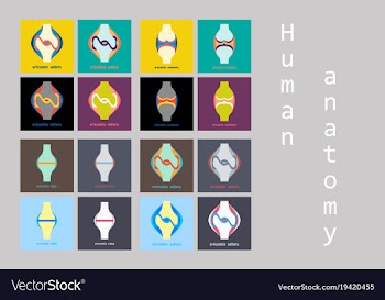 Set of knee joint health care icon flat vector image