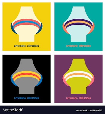 Set of knee joint health care icon flat vector image