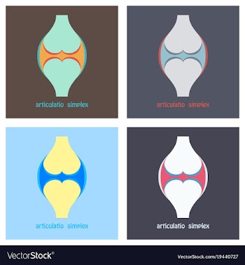 Set of knee joint health care icon flat vector image
