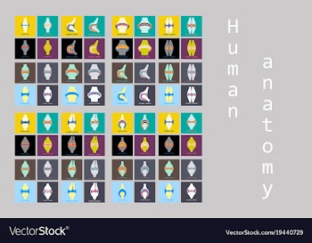 Set of knee joint health care icon flat vector image