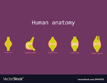 Set of knee joint health care icon flat vector image