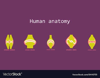 Set of knee joint health care icon flat vector image