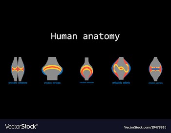 Set of knee joint health care icon flat vector image