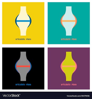 Set of knee joint health care icon flat vector image