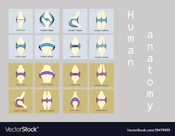 Set of knee joint health care icon flat vector image