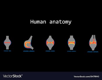 Set of knee joint health care icon flat vector image