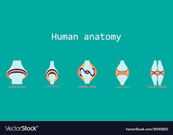 Set of knee joint health care icon flat vector image