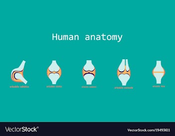 Set of knee joint health care icon flat vector image