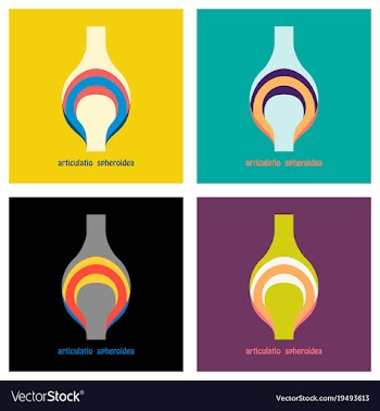 Set of knee joint health care icon flat vector image