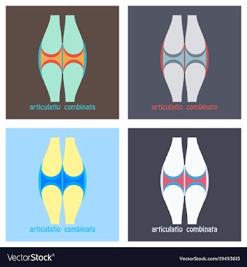 Set of knee joint health care icon flat vector image