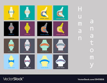 Set of knee joint health care icon flat vector image