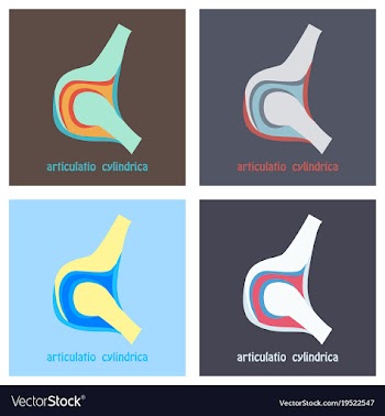 Set of knee joint health care icon flat vector image