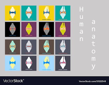 Set of knee joint health care icon flat vector image