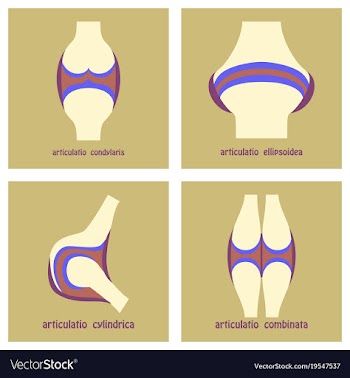 Set of knee joint health care icon flat vector image