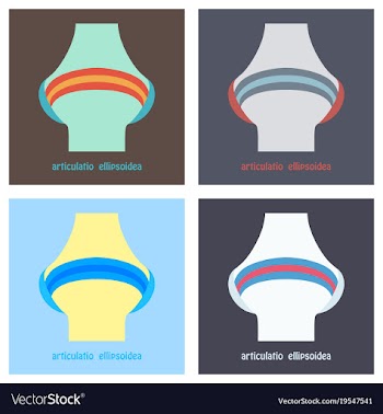 Set of knee joint health care icon flat vector image