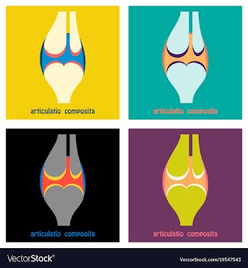 Set of knee joint health care icon flat vector image