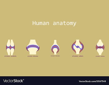 Set of knee joint health care icon flat vector image