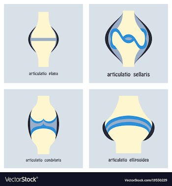 Set of knee joint health care icon flat vector image