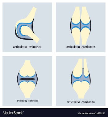 Set of knee joint health care icon flat vector image
