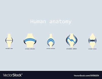 Set of knee joint health care icon flat vector image