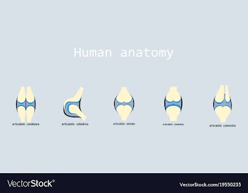 Set of knee joint health care icon flat vector image