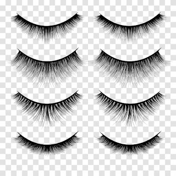 Set of lashes illustration Free Vector