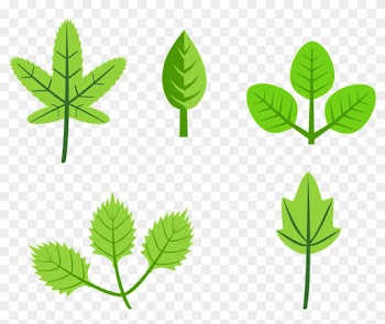 Set Of Leaves - Cartoon Leaves With Flowers