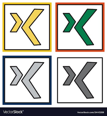 Set of logo xing icon social social media social vector image