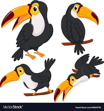 set of lovely toucans from different angles