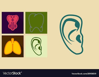Set of medecine icons in flat style ears tooth vector image