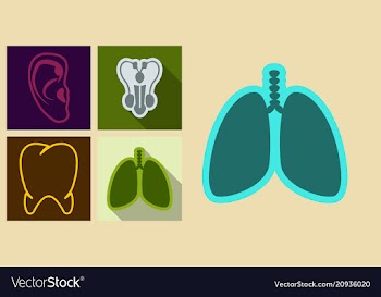 Set of medecine icons in flat style ears tooth vector image