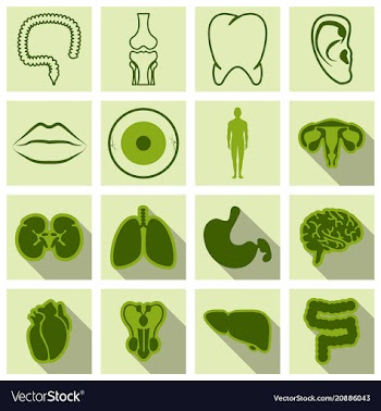 Set of medecine icons in flat style with shadow vector image