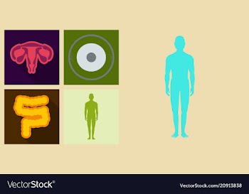 Set of medecine icons in flat style with shadow vector image